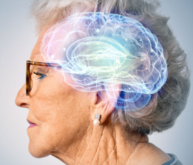 An older lady and her brain