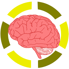 A brain in the center surrounded by green and yellow lines