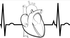 cardiac rhythm 