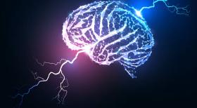 Brain & Electricity